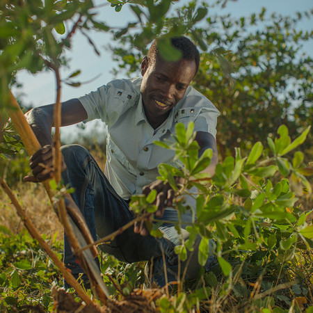 Justdiggit Justdiggit