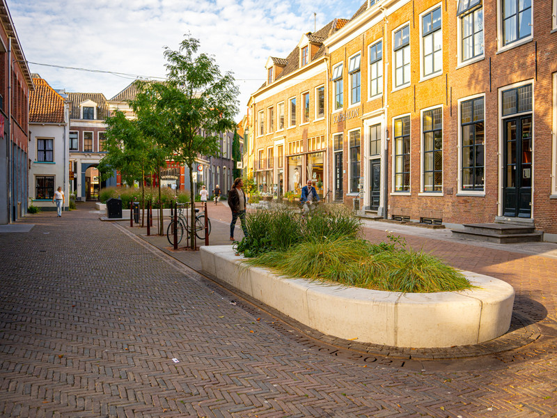 Schupstoel Zutphen