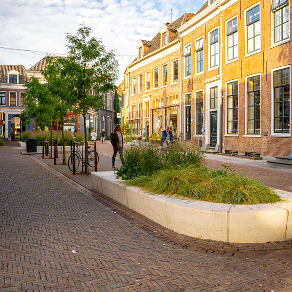 Schupstoel Zutphen