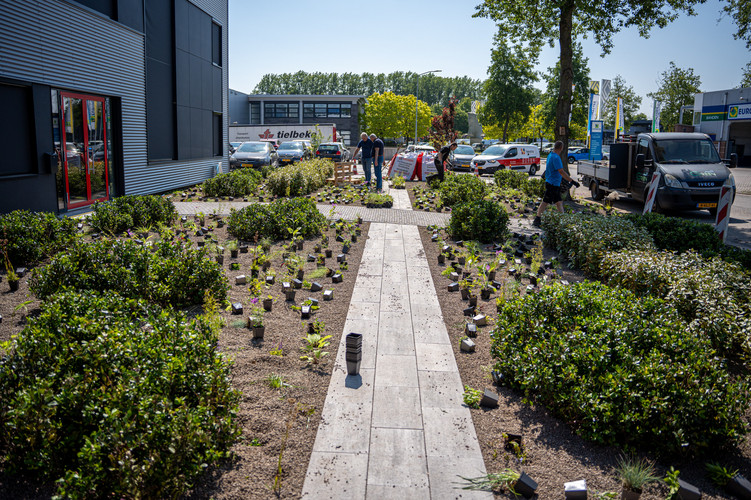 Voortuin Aco Klein-105