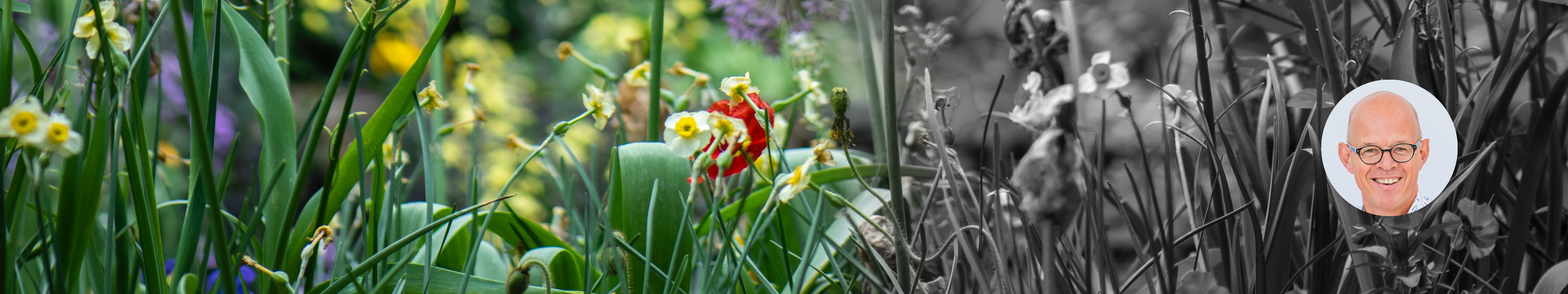 Klimaatbestendige Tuin